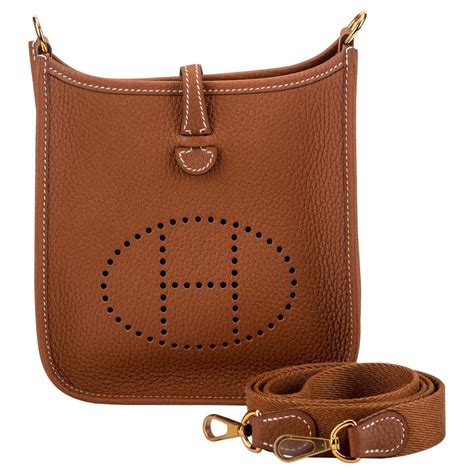 hermes mini evelyne